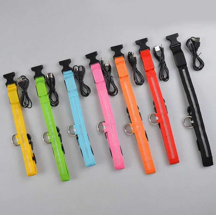 Nylon LED dog safety collar with illuminated fibre optic lights in blue colour, adjustable buckle, and waterproof construction