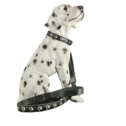 Black LED dog collar showing seven coloured lights with USB charging port visible
