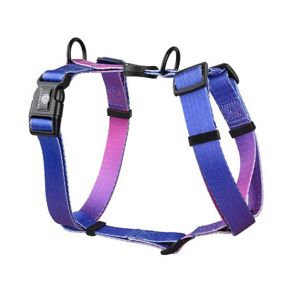 Polyester dog chest strap showing gradient colour pattern options in S, M, and L sizing