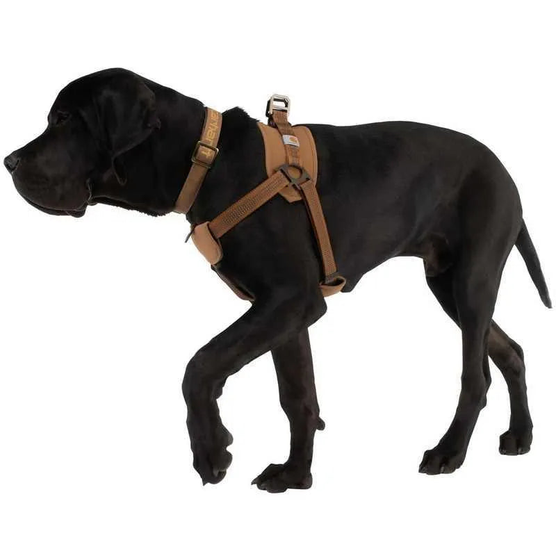 Dog training chest strap harness with reflective hand holding rope in three sizes for medium to extra large breeds
