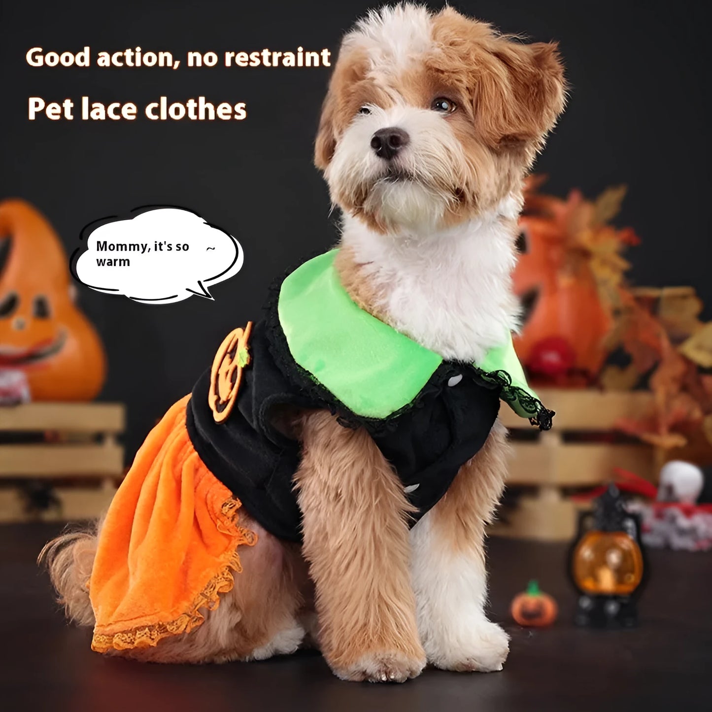 Halloween pet costume: orange pumpkin skirt and black Halloween sweater for small dogs and cats on a mannequin.