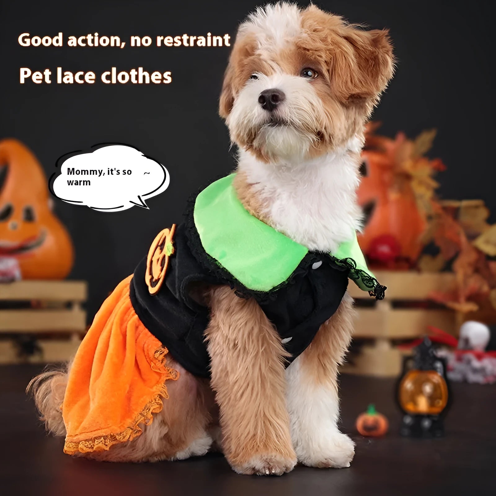 Halloween pet costume: orange pumpkin skirt and black Halloween sweater for small dogs and cats on a mannequin.