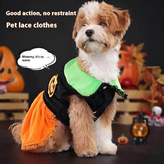 Halloween pet costume: orange pumpkin skirt and black Halloween sweater for small dogs and cats on a mannequin.