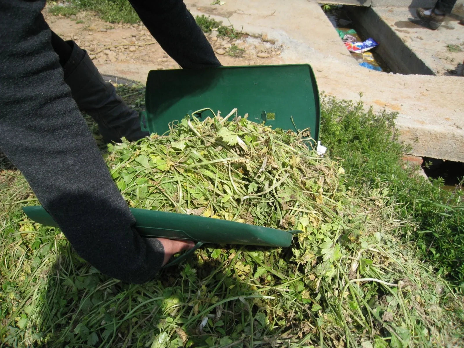 Green leaf rake scoops tool with automatic hand band, 34cm long garden debris collector