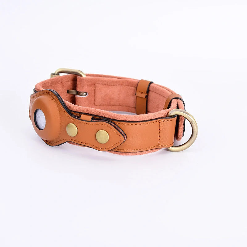 GPS tracker dog collar with AirTag holder in black, brown, blue, and pink colors