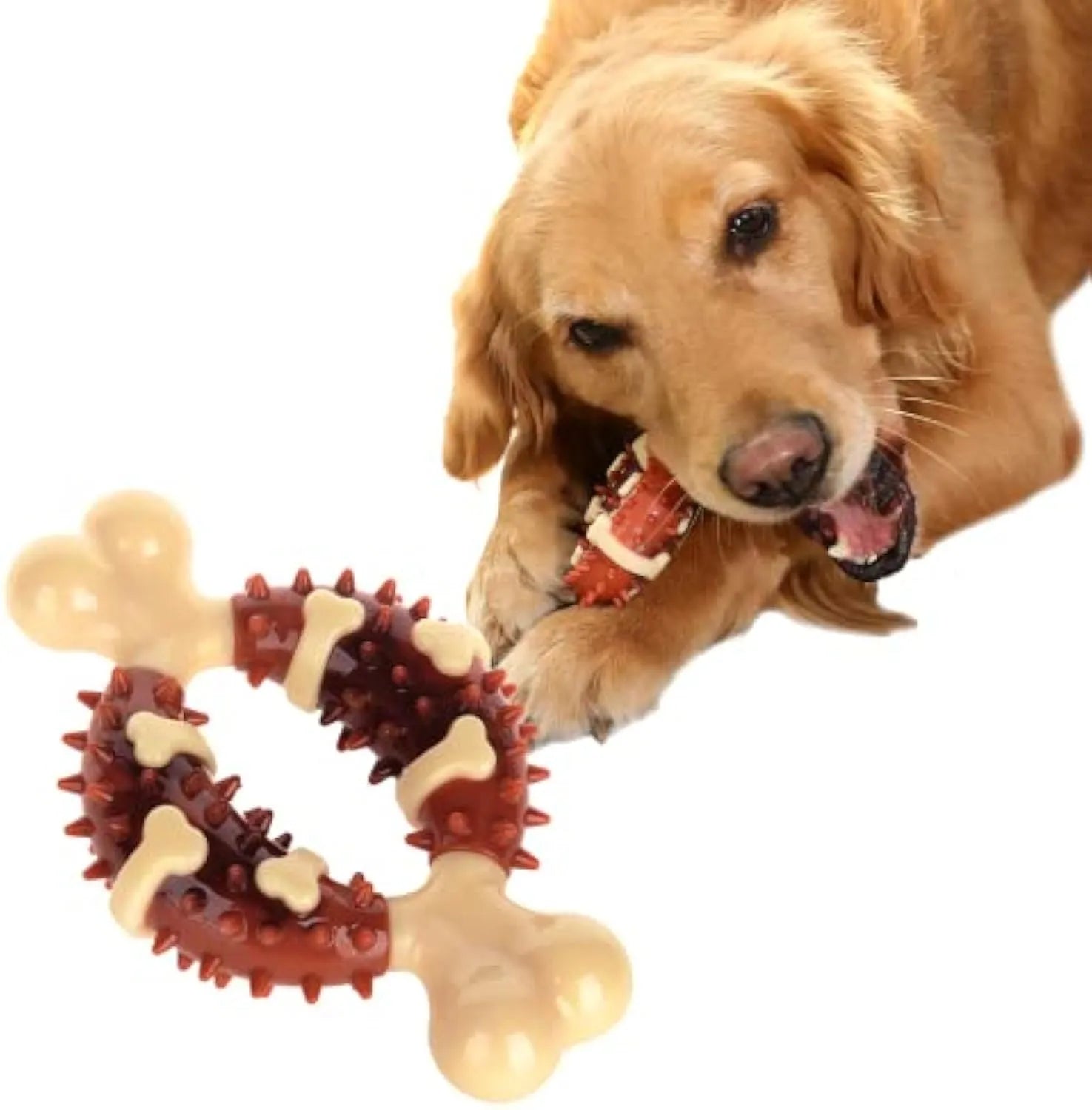 Bone-shaped natural rubber dog toy for teeth grinding and anxiety relief in two sizes
