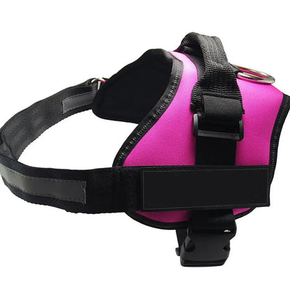 A reflective adjustable no-pull dog harness in nylon, shown on a dog, with a sturdy handle and D-ring for leash attachment.