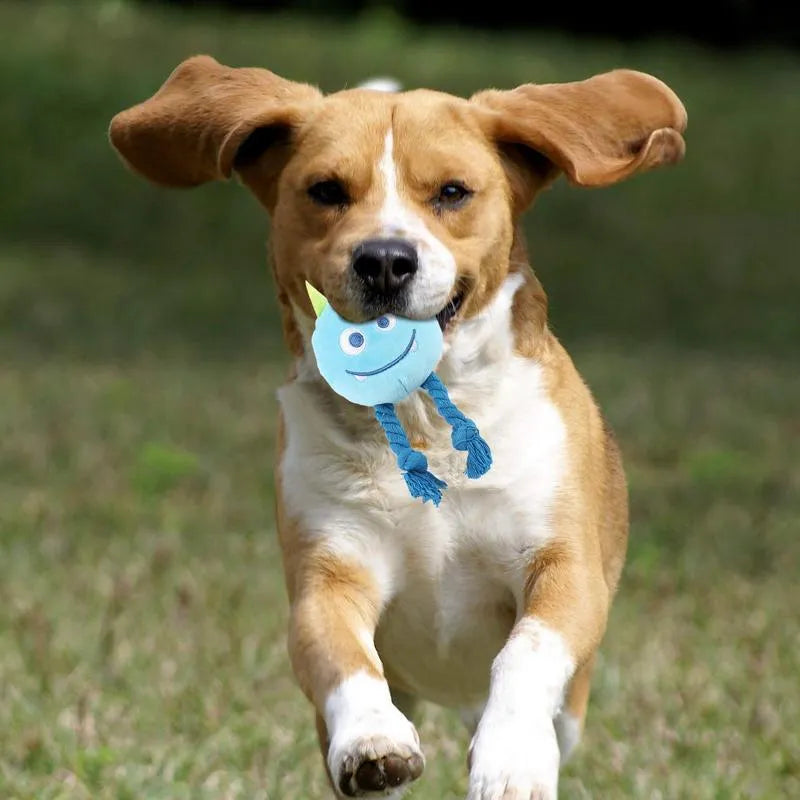 Blue or yellow dog squeaky toy with strong knot rope design for chewing and play