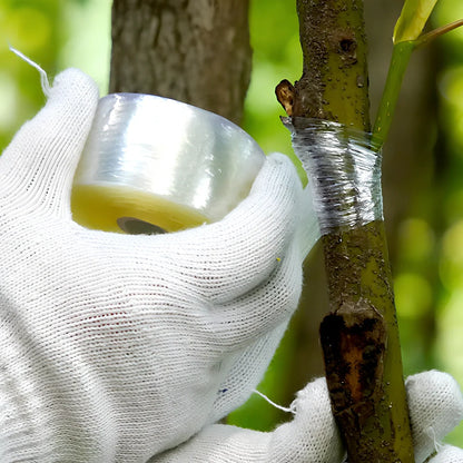 Roll of 2cm wide grafting tape for fruit tree propagation with 100m length