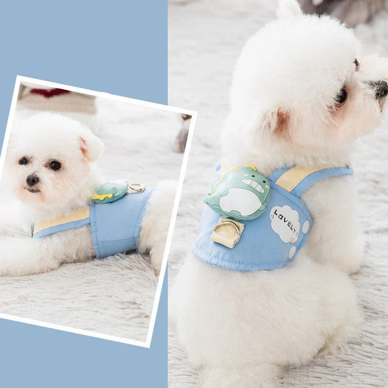 Durable and breathable small dog harness and leash set in various colors and sizes