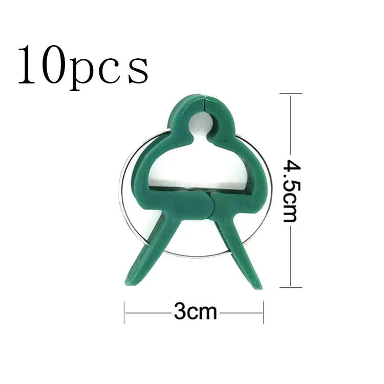 Green plastic plant fixing clips, large and small sizes, holding a tomato stem to a garden cane.