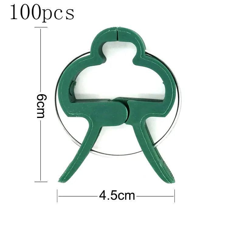 Green plastic plant fixing clips, large and small sizes, holding a tomato stem to a garden cane.