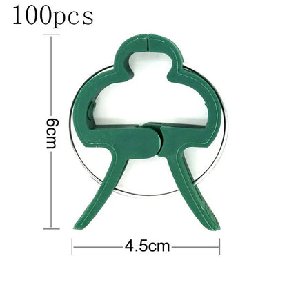 Green plastic plant fixing clips, large and small sizes, holding a tomato stem to a garden cane.