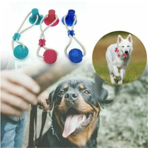 Multi-function dog chew toy with colorful rubber and cotton fiber rope for dental care and playtime