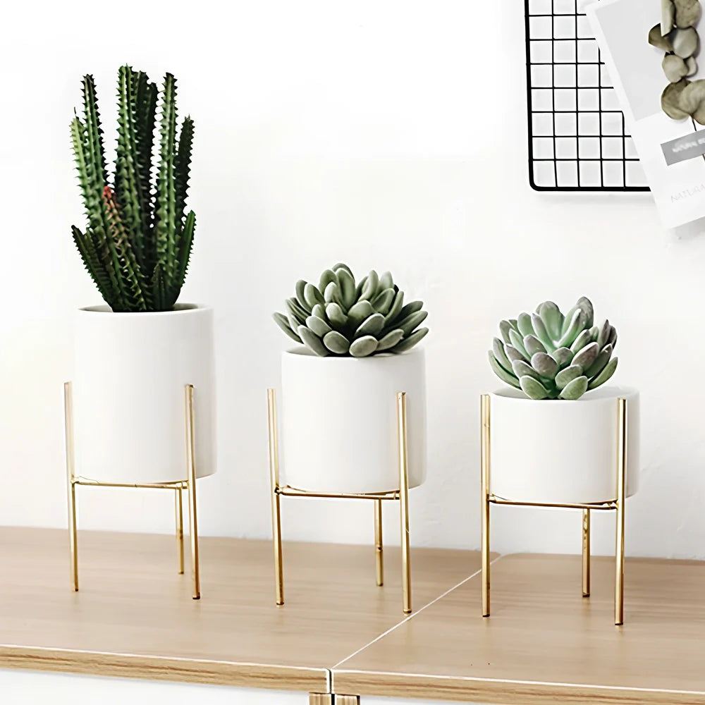 Black iron frame succulent flowerpot with white ceramic insert showing 12.5cm and 16.5cm size options