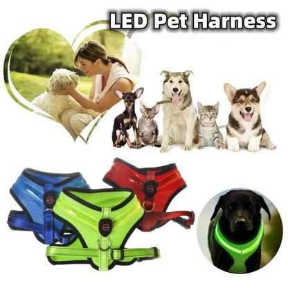 USB rechargeable LED dog harness in blue, red, or green with reflective safety features
