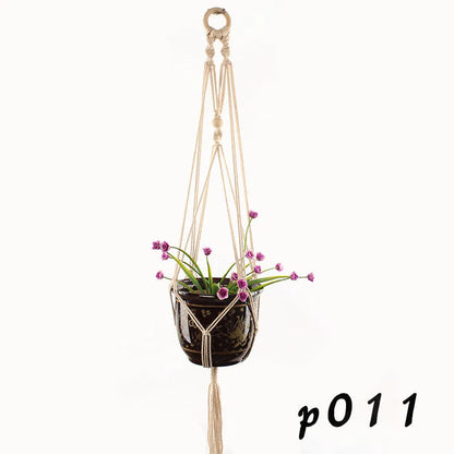 Woven wire lattice plant holder with natural cotton rope, shown in a rustic style supporting a green plant.