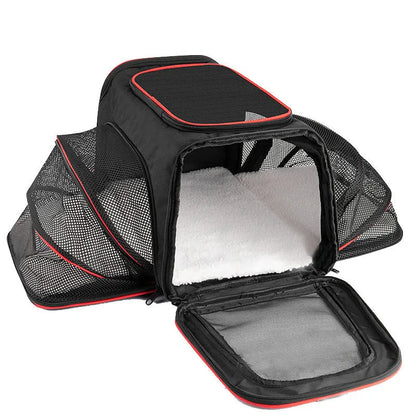 Black cat carrier bag made from 600D cation fabric with red piping trim.
