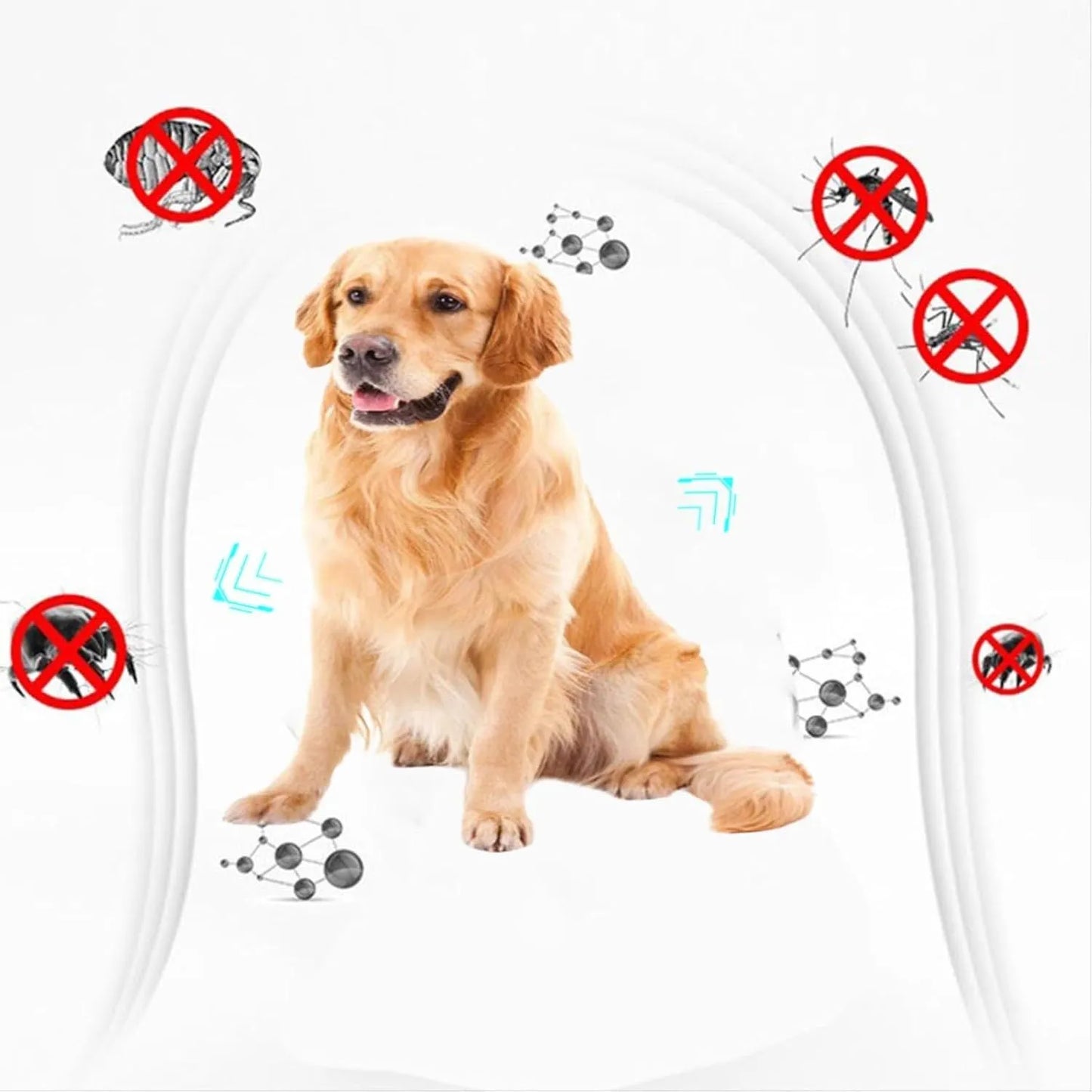 Double-sided plastic flea comb for pets showing dense teeth and 5 cm length for dog and cat grooming