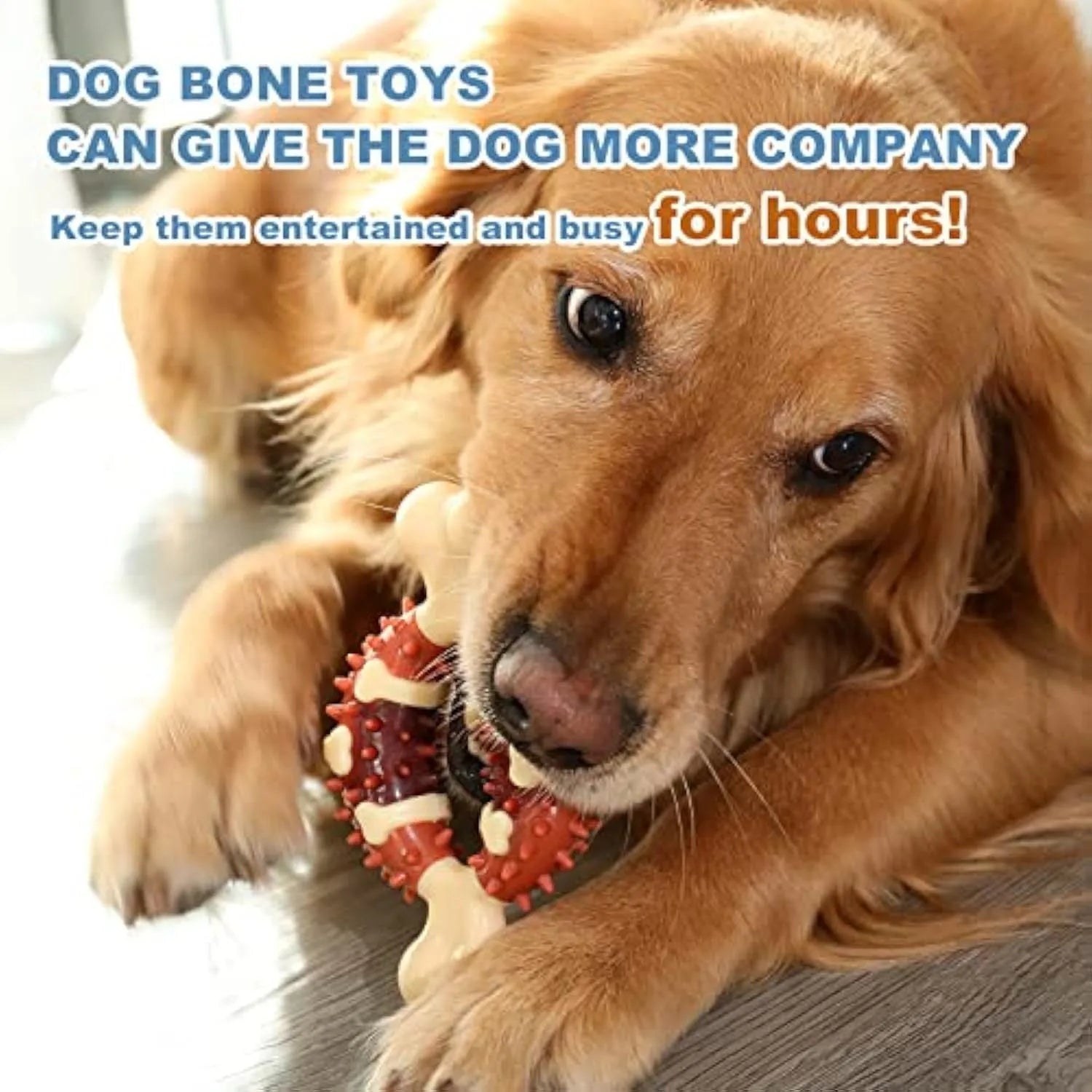 Bone-shaped natural rubber dog toy for teeth grinding and anxiety relief in two sizes