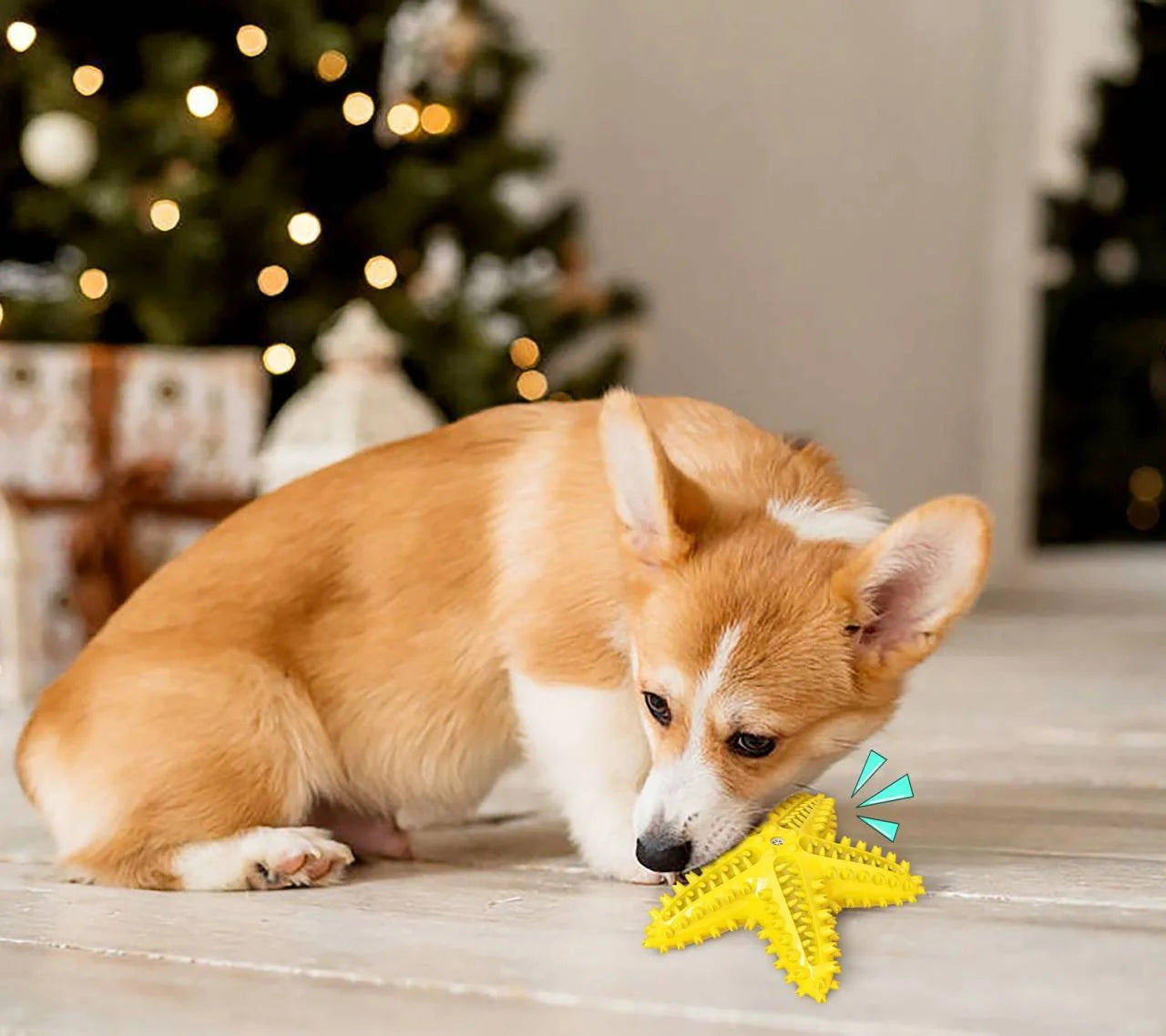 Starfish Vocal Pet Dog Toy Molar Stick in lake blue, yellow, and green for teeth cleaning