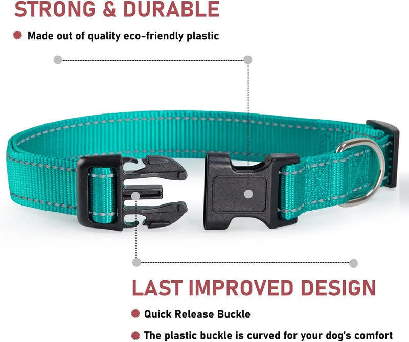 Adjustable nylon dog collar with chest strap in multiple colour options for secure walking