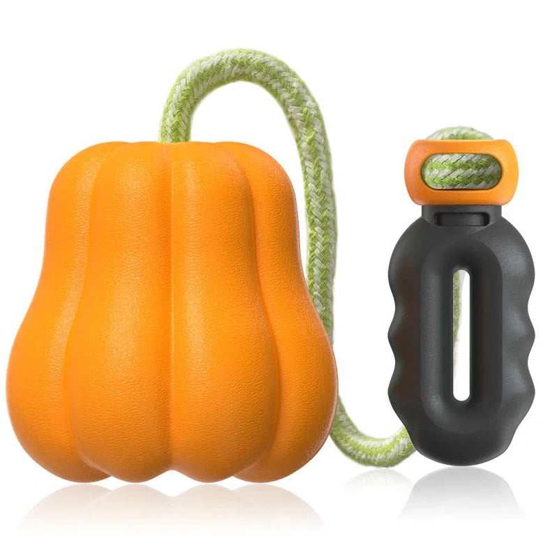 Orange pumpkin-shaped plastic dog toy with attached rope for throwing