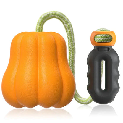 Orange pumpkin-shaped plastic dog toy with attached rope for throwing