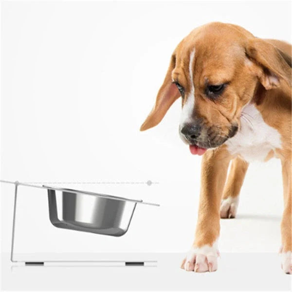 Elevated anti-spill pet food and water bowls in various color options, featuring a sleek and inclined design to prevent spills and keep meals fresh.
