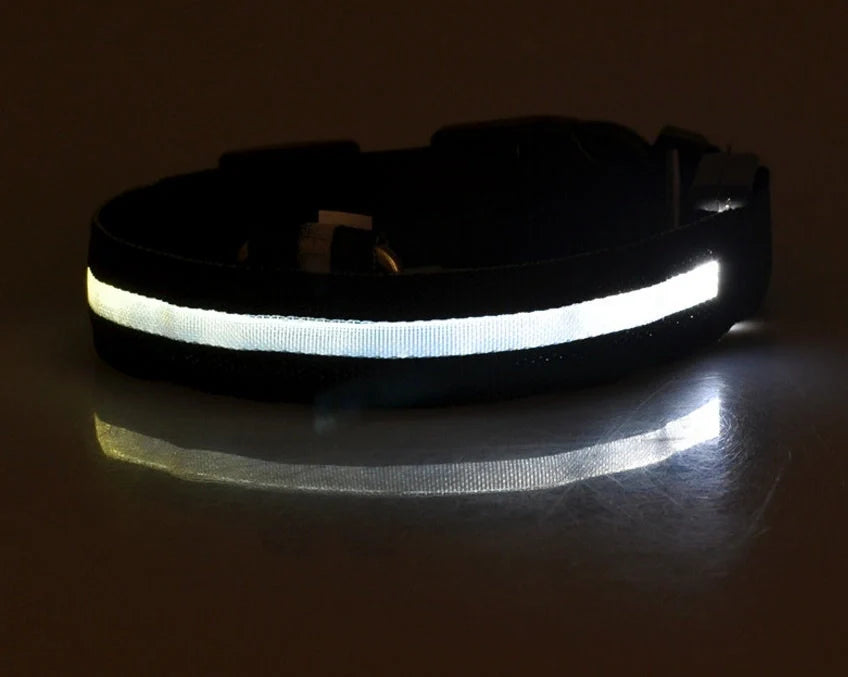 Nylon LED dog safety collar with illuminated fibre optic lights in blue colour, adjustable buckle, and waterproof construction