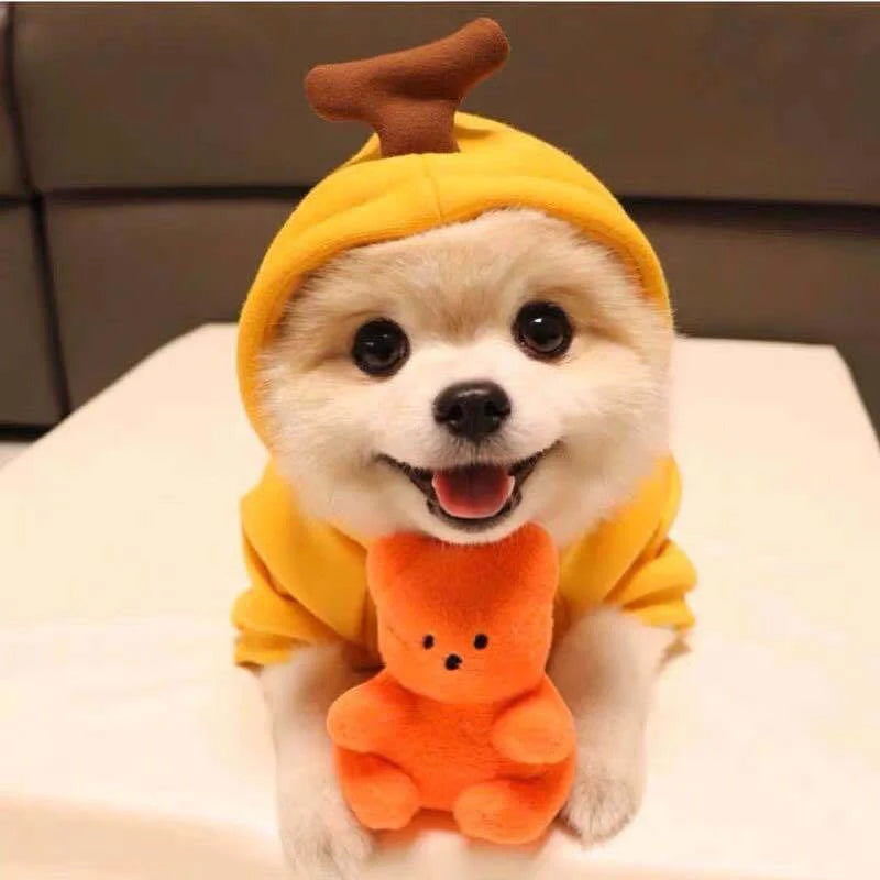 Two-legged hooded fleece dog outfits in various colors for autumn and winter wear