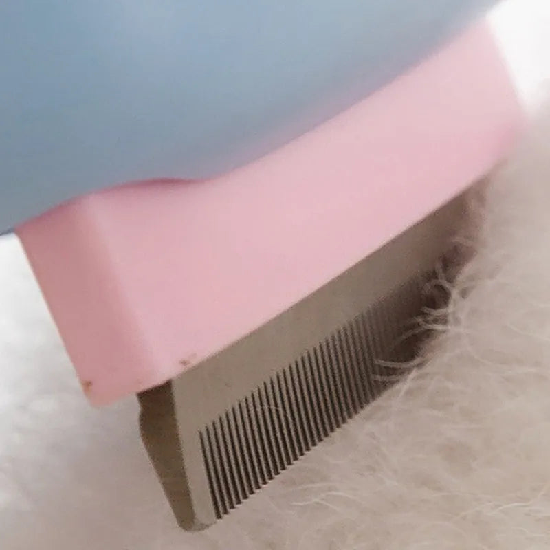 Blue pet grooming brush with deshedding teeth and dematting comb for dogs and cats