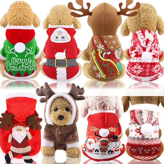 Cozy Canine Couture: Premium pet clothing collection featuring stylish and comfortable designs for your furry friend