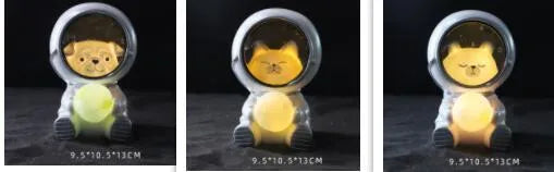 Starry sky animal night light in bear design with LED illumination and resin construction