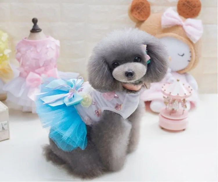 Dog skirt princess tutu teddy dress in cotton and lace with mesh detail, thin summer dog clothes, light green pink sky blue, XS to XL
