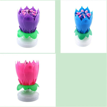Musical Lotus Candles in various colors with a unique lotus design and music feature