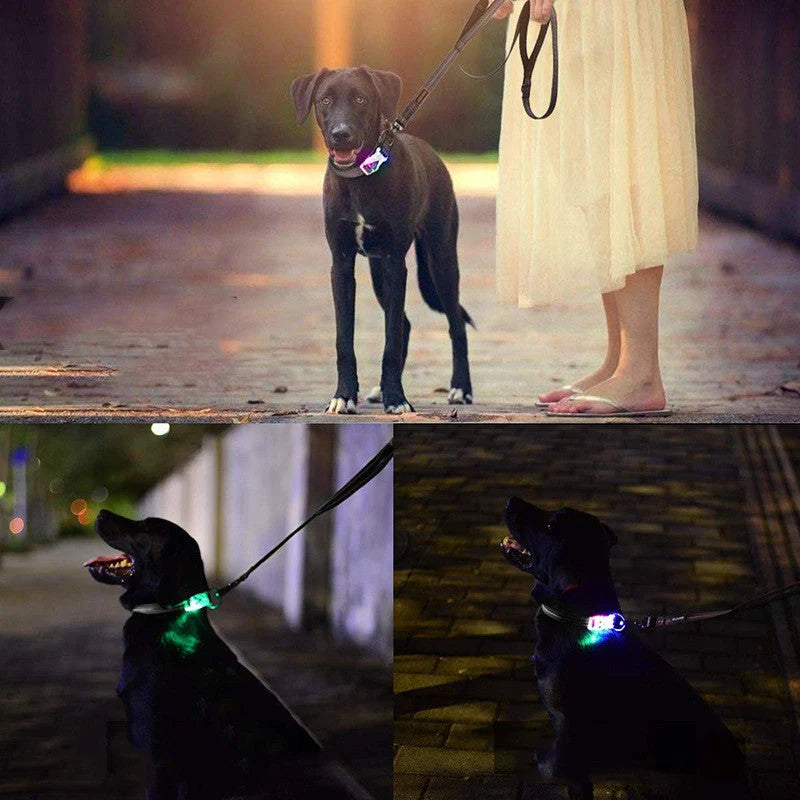 Nylon LED luminous pet collar leash in red, blue, and black with adjustable light modes