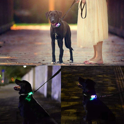 Nylon LED luminous pet collar leash in red, blue, and black with adjustable light modes