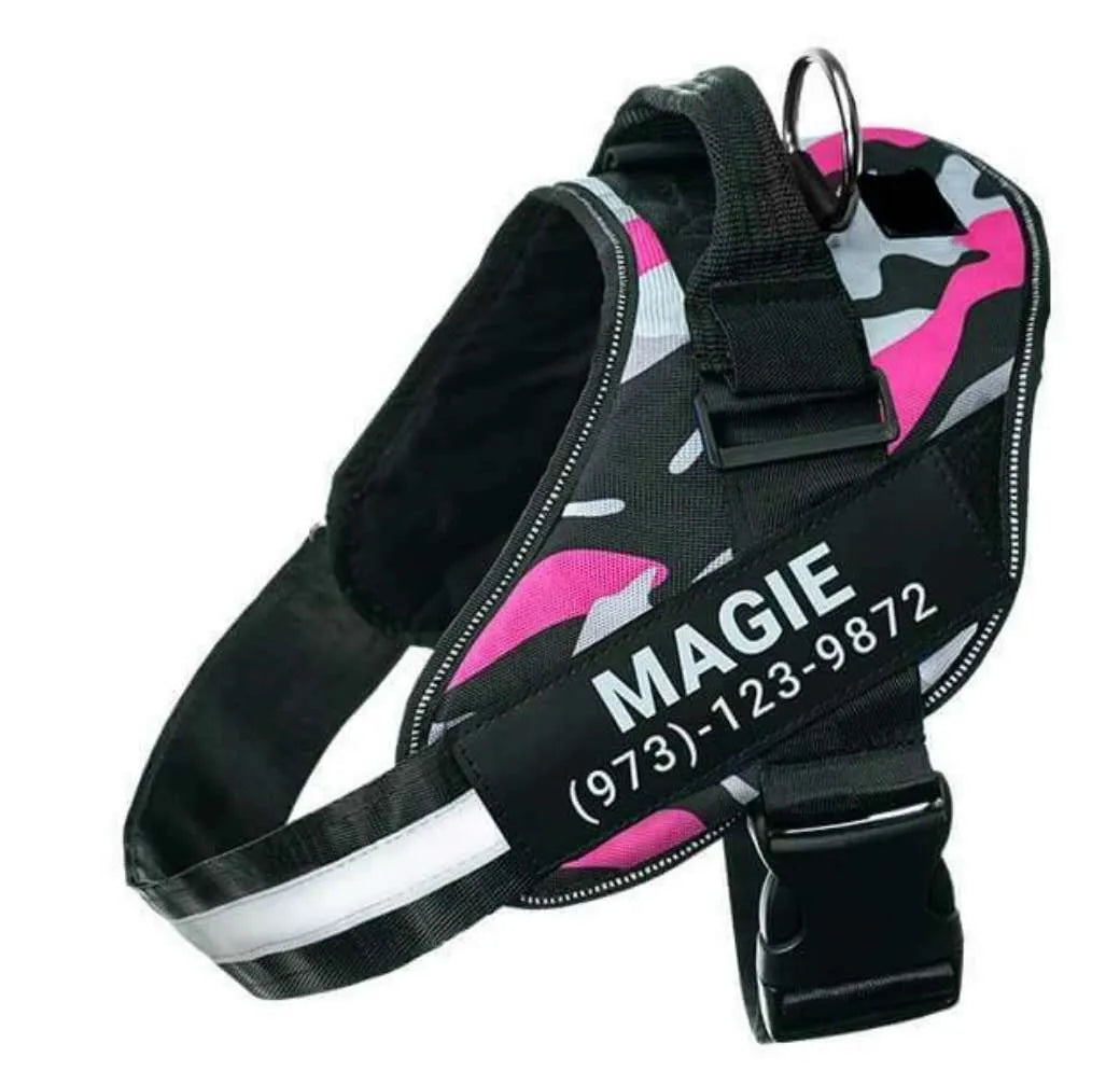 A reflective adjustable no-pull dog harness in nylon, shown on a dog, with a sturdy handle and D-ring for leash attachment.