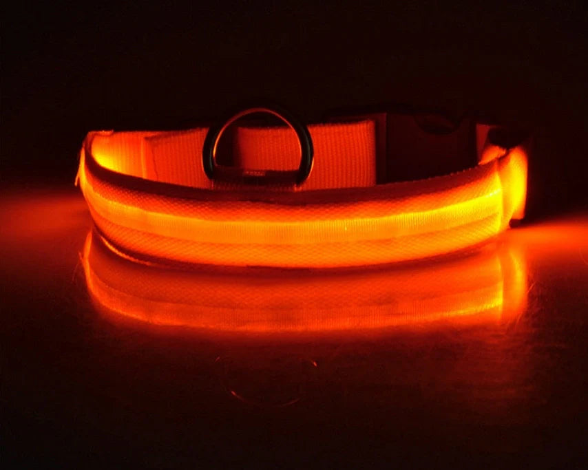 Nylon LED dog safety collar with illuminated fibre optic lights in blue colour, adjustable buckle, and waterproof construction