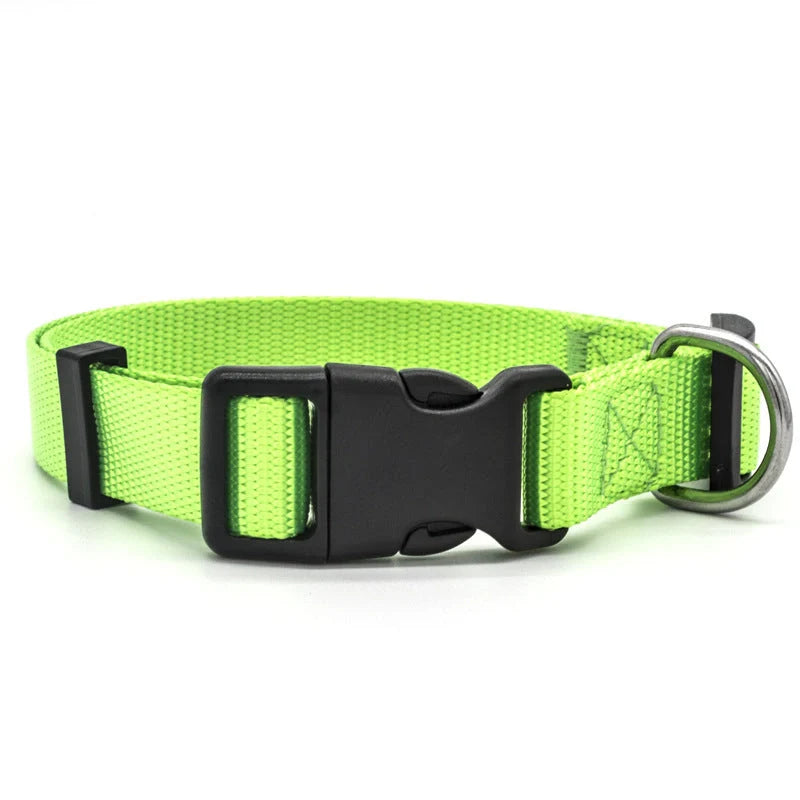 Adjustable nylon pet collar for cats and dogs with neoprene lining, available in multiple colors and sizes