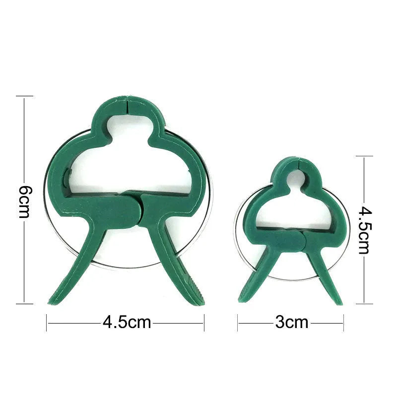 Green plastic plant fixing clips, large and small sizes, holding a tomato stem to a garden cane.