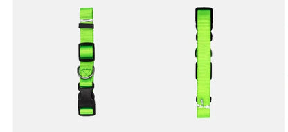 Adjustable nylon pet collar for cats and dogs with neoprene lining, available in multiple colors and sizes