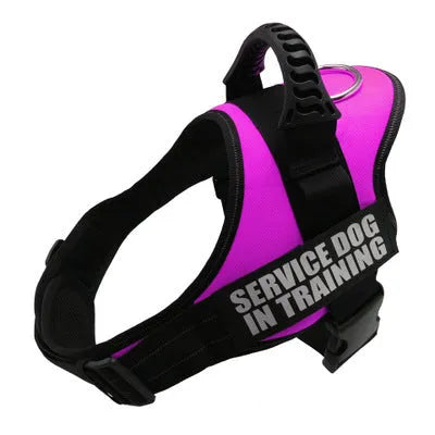 A reflective adjustable no-pull dog harness in nylon, shown on a dog, with a sturdy handle and D-ring for leash attachment.
