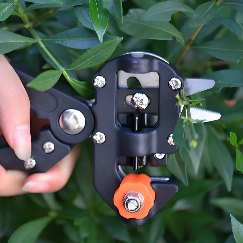 12-piece card and cloth bag collection with 2cm width, multiple styles, orange and red options