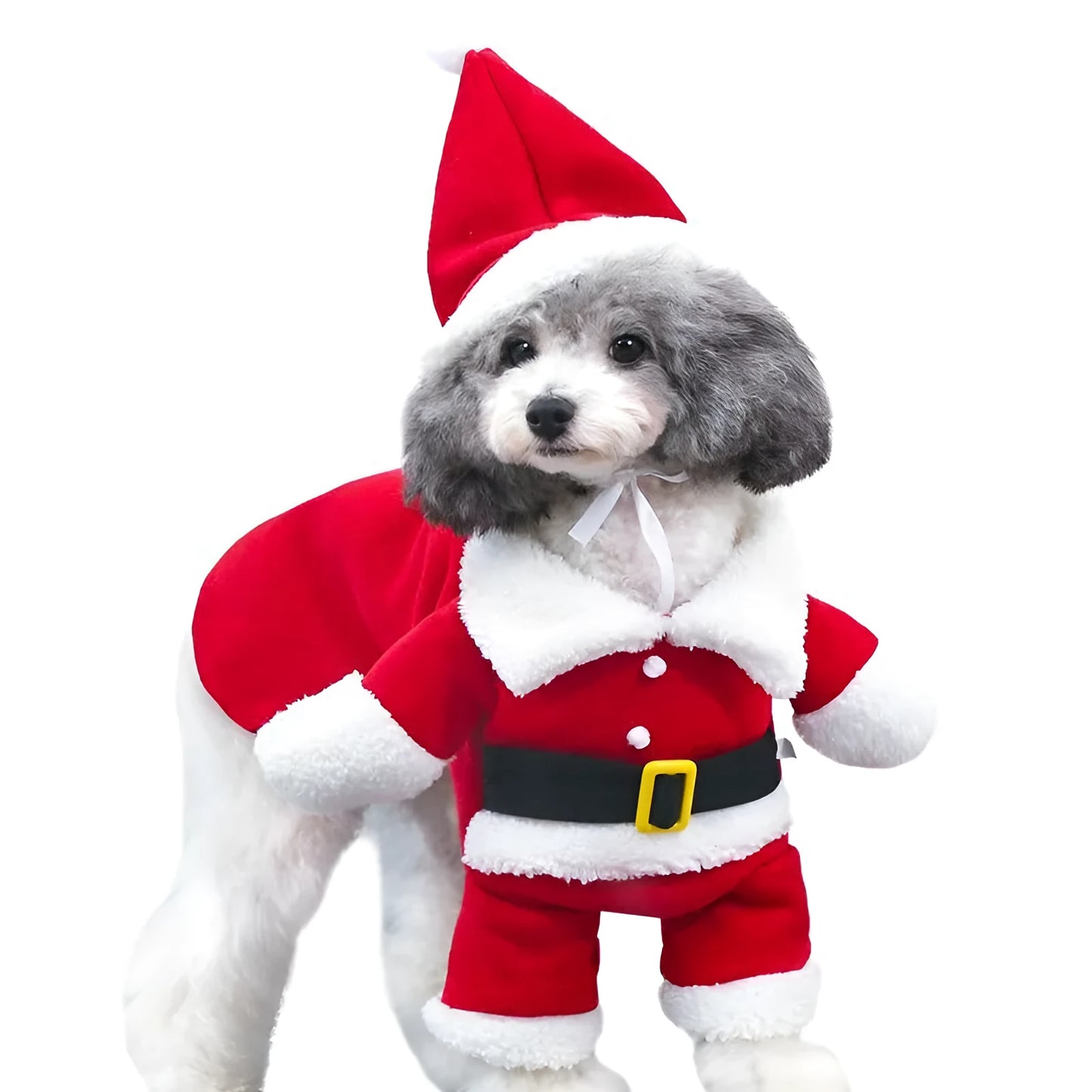 Red polar fleece Santa Claus costume for pets on dog with Christmas background