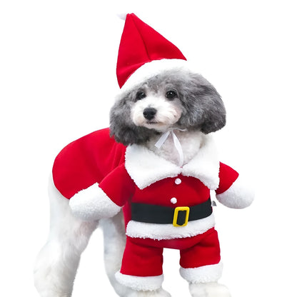 Red polar fleece Santa Claus costume for pets on dog with Christmas background