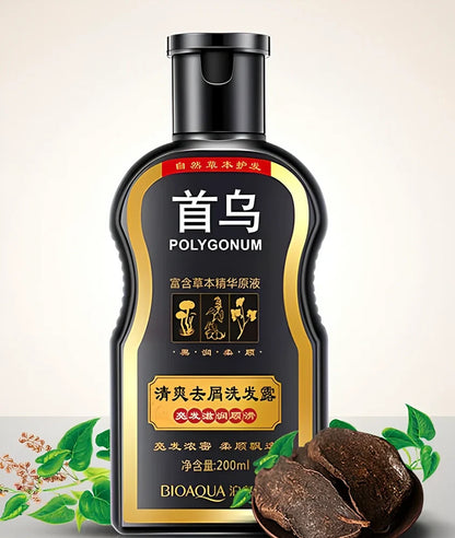 Black Polygonum shampoo bottle with herbal extracts for hair moisturisation and nutrition in 100ml or 200ml sizes