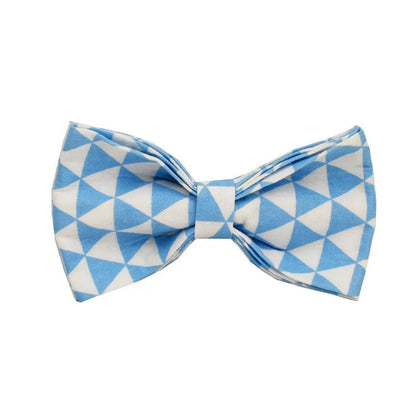 Blue cloth dog collar, leash, bow, and vest four-piece set with triangular metal ring, shown in a pet accessory bundle.