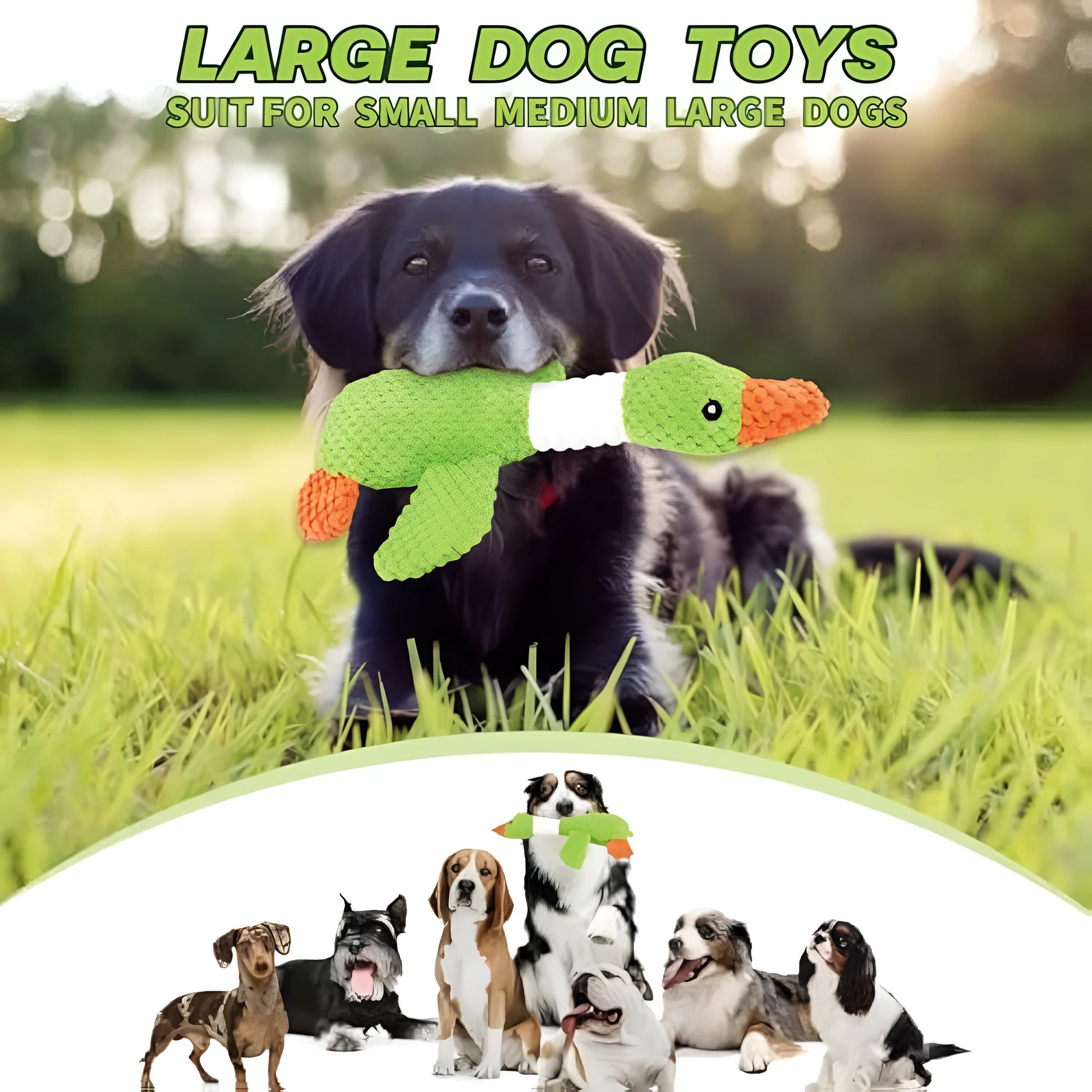 Blue plush duck dog toy with two squeakers, measuring 33 cm, for chewing and teeth cleaning